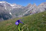 Viaje de Trekking Vuelta al Monte Perdido