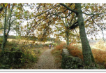 Senderismo en somiedo y parque natural de Redes en otoño