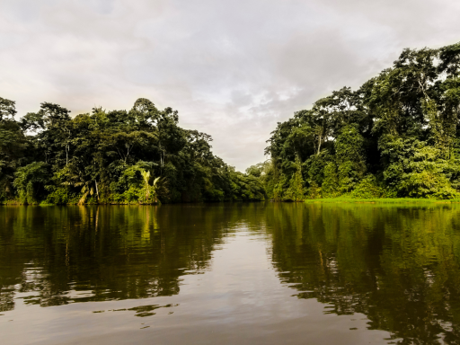 Costa Rica te Sorprenderá ¡Viaje de 9 días!