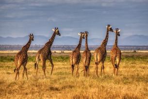 Tu mejor Fin de Año en Kenia