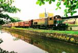 Sri Lanka como un local: tour personalizado de 10 días