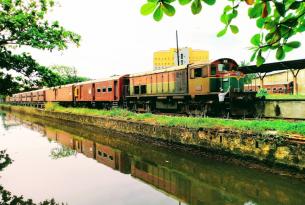 Sri Lanka como un local: tour personalizado de 10 días