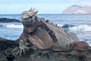 Islas Galápagos: la magia de Santa Cruz