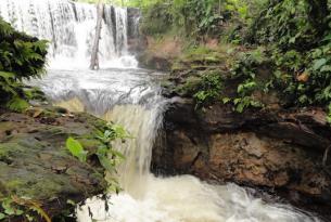 Lagartococha amazonia: pura magia de Ecuador