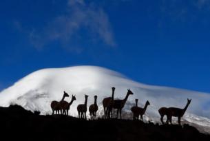 Recorramos los andes