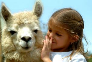 Ecuador: un viaje al corazón de un país maravilloso