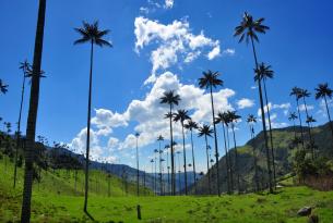 Descubriendo Colombia