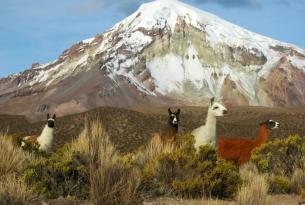 Descubriendo Bolivia