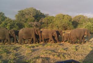 Aventura en Sri Lanka