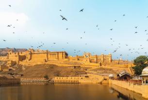 Tour por los fuertes y palacios de Rajastán