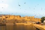 Tour Taj tras el rastro de los tigres