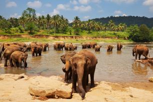 Sri Lanka: viaje a la isla de las maravillas
