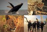 10 días de buceo en Zanzibar con hotel, 10 inmersiones, traslados y safari en Mikumi