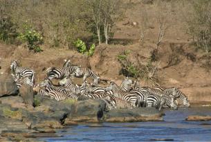 Safari Gran Migracion Tanzania Privado