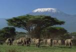 Safari en Kenia con guía en español en grupo (7 días) Salidas todos los Lunes