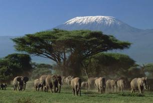 Safari en Kenia con guía en español en grupo (7 días) Salidas todos los Lunes