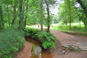 Camino de Santiago. Camino Portugués