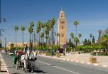 Marrakech al Completo & Essaouira