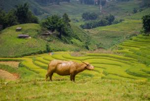 Vietnam con Sapa tradicional