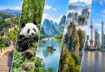 Todo China