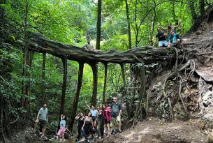 Costa Rica: "Un país que te llenará de pura vida"