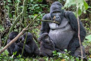 Safari Twiga- El corazón de Uganda