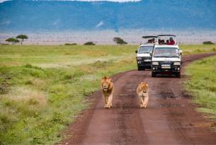 Kenia: Parques del sur