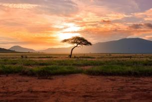 Kenia: Safari Reteti