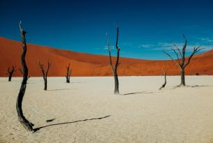 Namibia: la ruta del Namib (12 días)