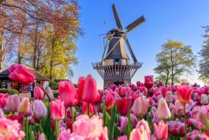 Crucero fluvial por Holanda, país de los tulipanes