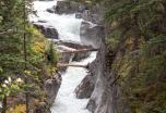 Desde las Rocosas Canadienses hasta Alaska