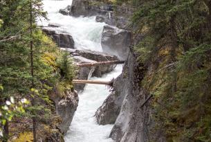 Desde las Rocosas Canadienses hasta Alaska