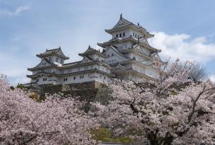 Conociendo Japón, una ciudad imperdible.