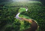 Explora el encanto del Amazonas