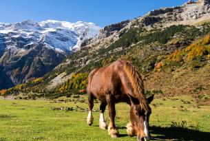 Pirineo Aragonés: un destino fascinante para disfrutar de la naturaleza en familia