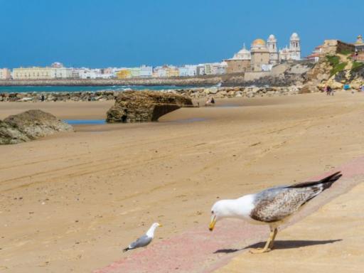 Semana Santa en Cádiz (Singles)