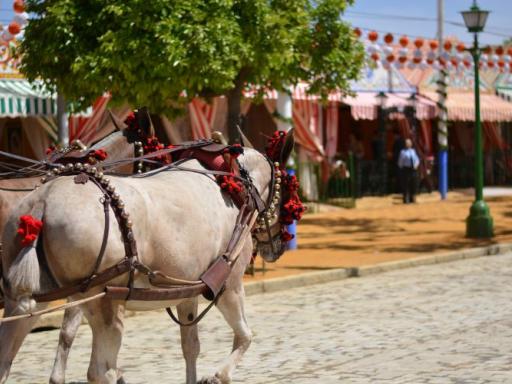 Feria de Sevilla (exclusivo para singles)