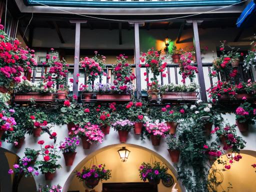 Patios de Córdoba en primavera (exclusivo para singles)