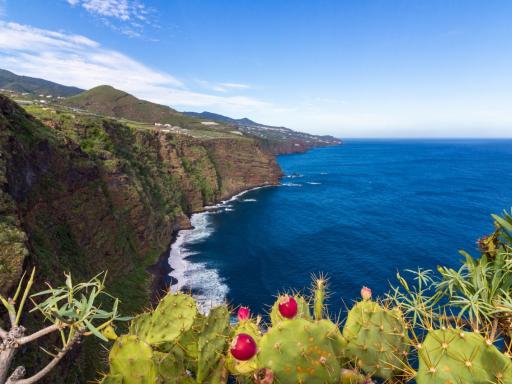 Crucero single en Islas Canarias (Fin de Año)