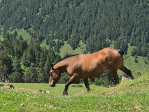 Viaje a Andorra: Paisajes de naturaleza y desconexión