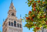 Viaje a Sevilla (Puente de Diciembre) Viaje a Sevilla (Puente de Diciembre)