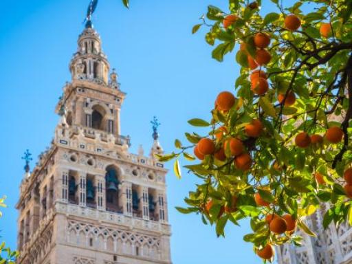 Viaje a Sevilla (Puente de Diciembre)