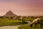 Viaje a Normandía: Mont Saint Michel y Bretaña (Semana Santa)