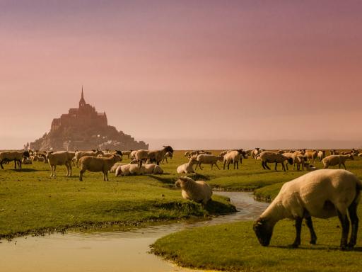 Viaje a Normandía: Mont Saint Michel y Bretaña (Semana Santa)