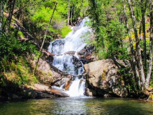 El Valle del Jerte, la Vera y Ávila: Naturaleza y gastronomía (Semana Santa)