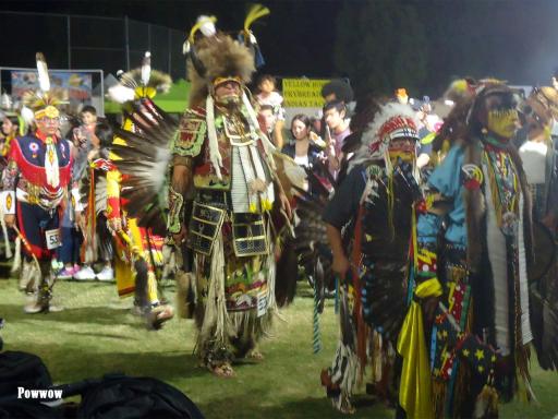 Sioux, Shoshone y Cheyenne - Historia y Cultura de los Indios Americanos