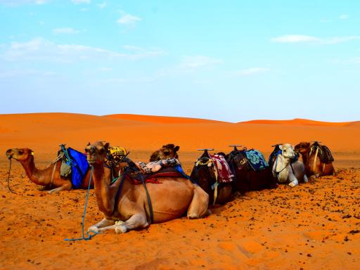 Marruecos: Viaje en grupo reducido (Semana santa)