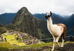 Perú: Viaje en Grupo Reducido (La esencia de América)