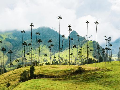 Circuito por Colombia: Viaje en grupo reducido - El alma de América latina (Extensión a Panamá)