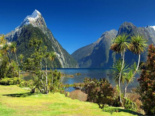 Circuito por Nueva Zelanda: Cultura Maorí y naturaleza extrema